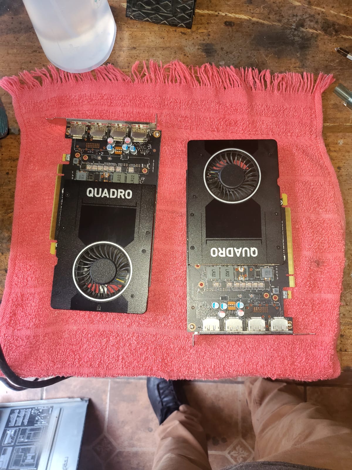 Tarjetas de video Quadro limpias y listas para instalar